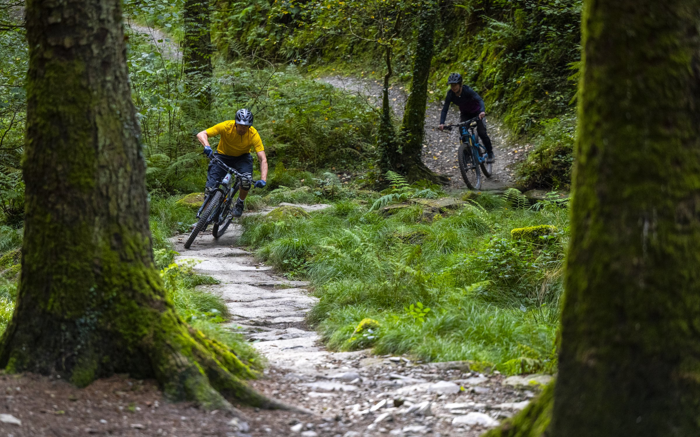 Gear up for the ultimate riding adventure Forestry England unveils Forest 450 challenge Forestry England